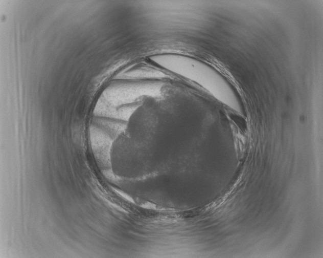 X0000060220386200511181218