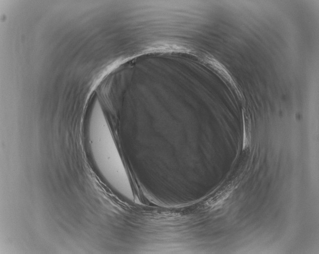X0000060220387200511181218