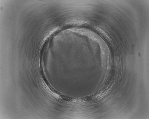 X0000060220399200511181218
