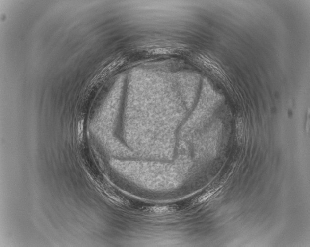 X0000060220406200511181218