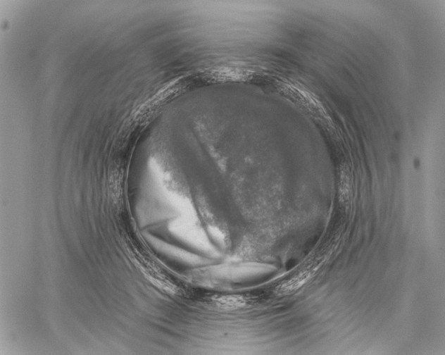 X0000060220409200511181218