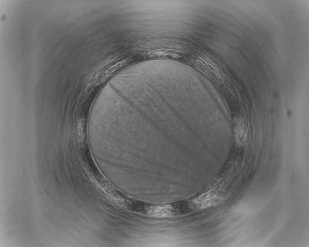 X0000060220410200511181218