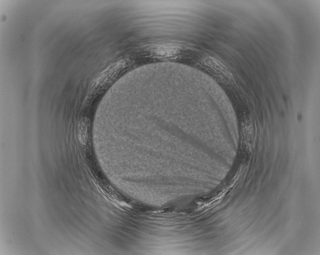 X0000060220412200511181218