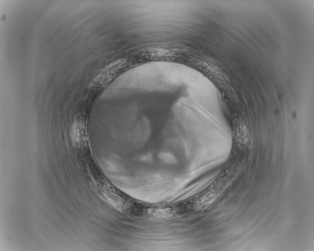 X0000060220419200511181218