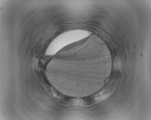 X0000060220424200511181218