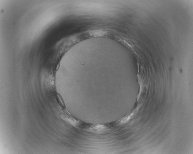 X0000060220431200511181217