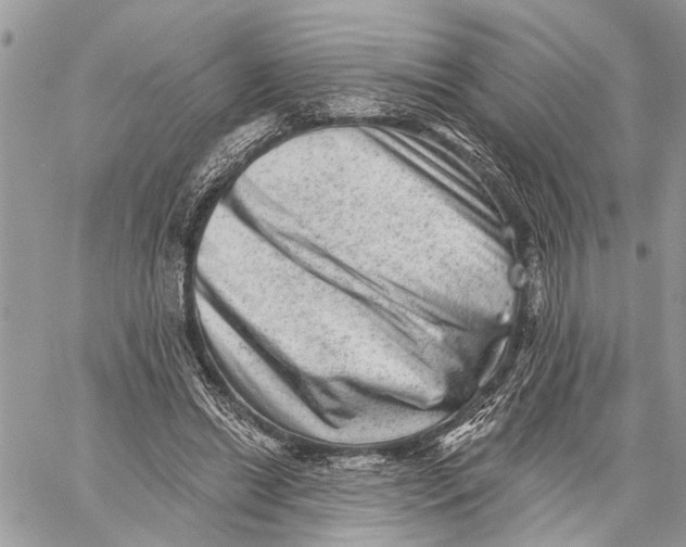 X0000060220446200511181217