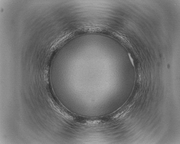 X0000060220450200511181217