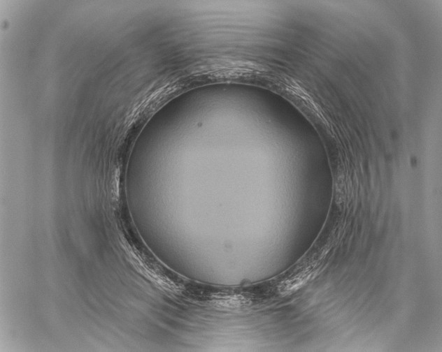 X0000060220454200511181217