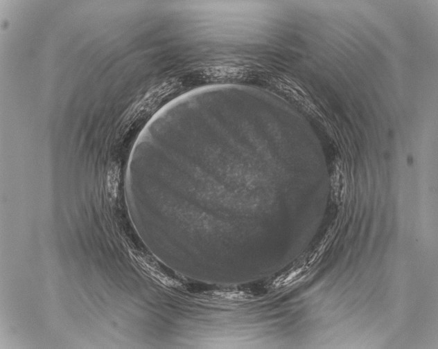 X0000060220458200511181217
