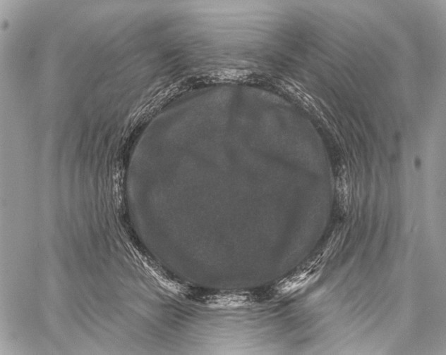 X0000060220462200511181217