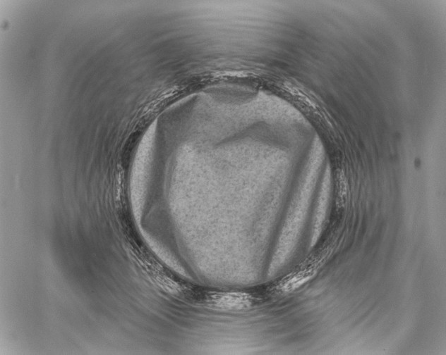 X0000060220463200511181217