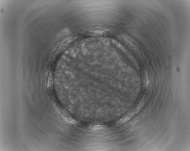 X0000060220467200511181217