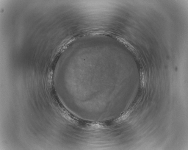 X0000060220475200511181217