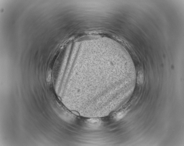 X0000060220477200511181217
