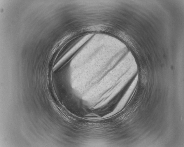 X0000060220486200511181216