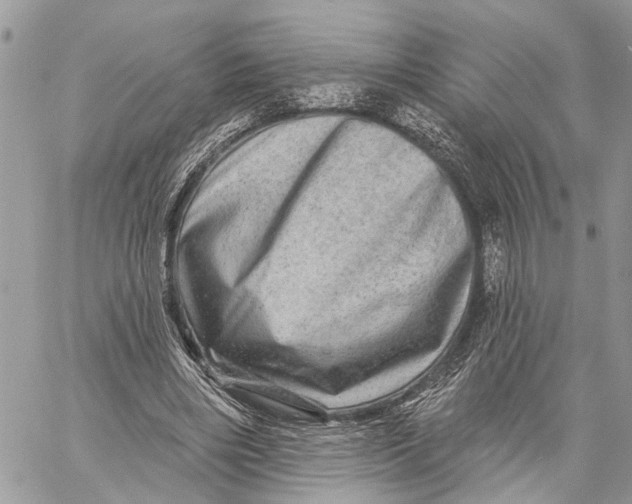 X0000060220490200511181216