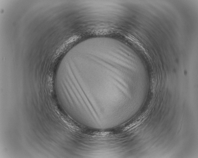 X0000060220497200511181216