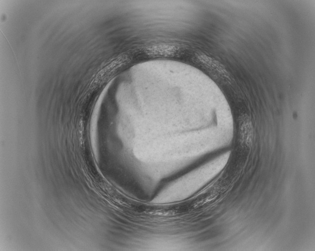 X0000060220498200511181216