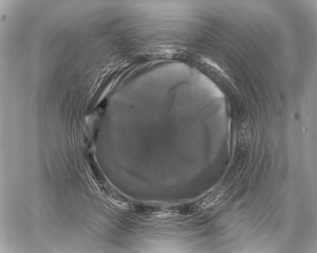 X0000060220504200511181216