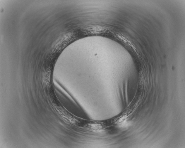 X0000060220509200511181216