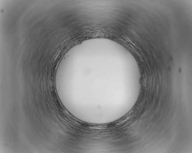 X0000060220516200511181216