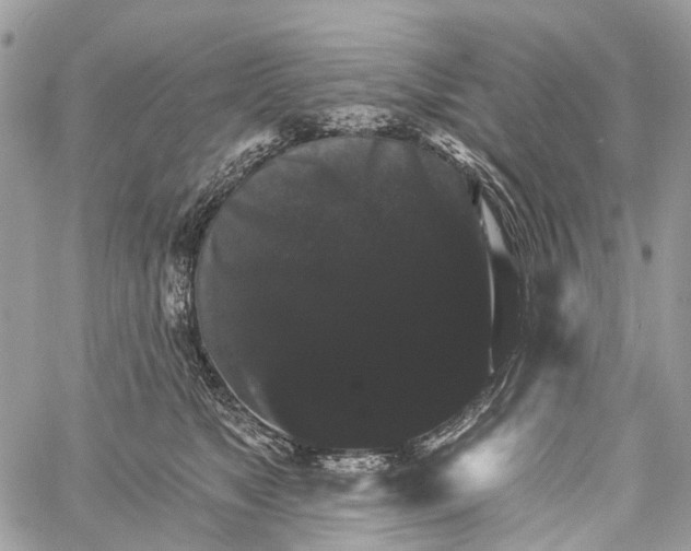 X0000060220517200511181216