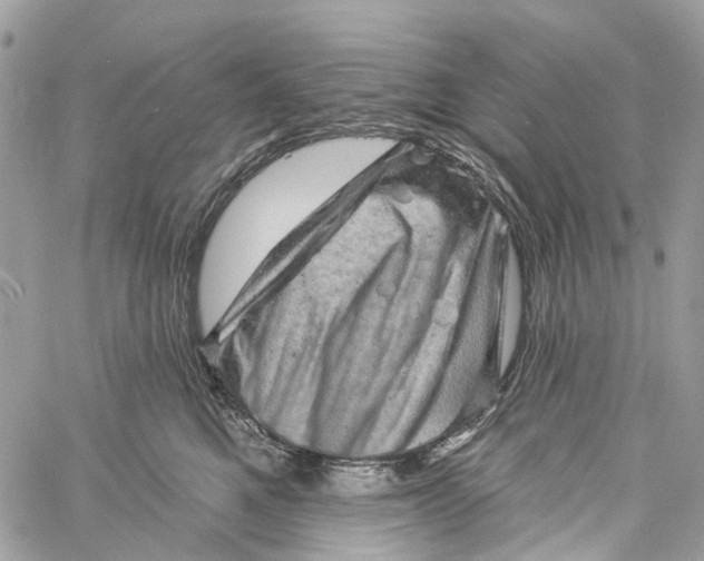 X0000060220521200511181216