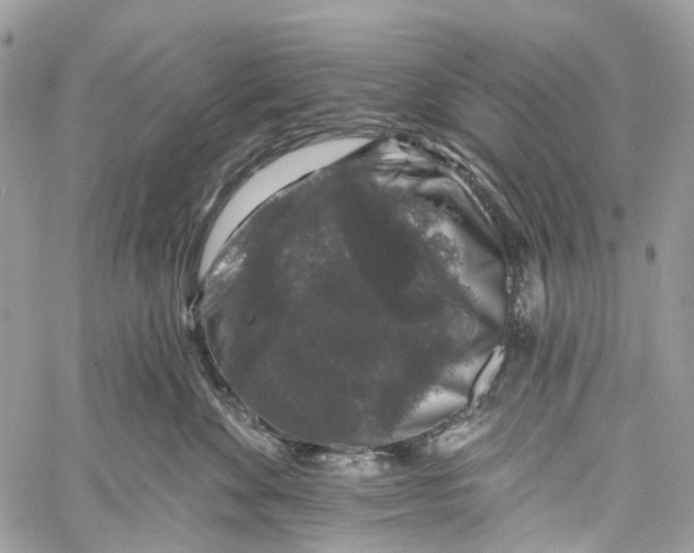 X0000060220524200511181216