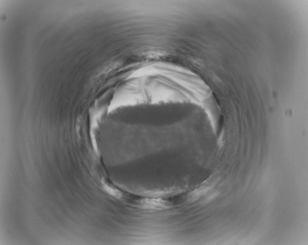 X0000060220528200511181215