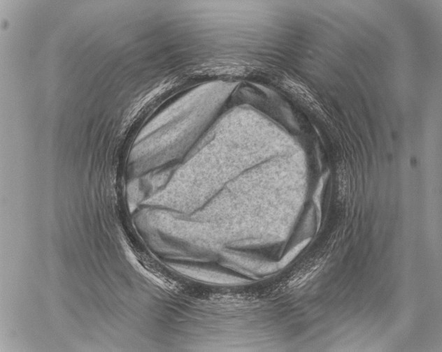 X0000060220538200511181215