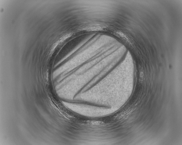 X0000060220539200511181215