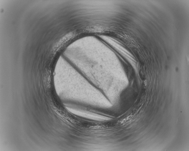 X0000060220544200511181215