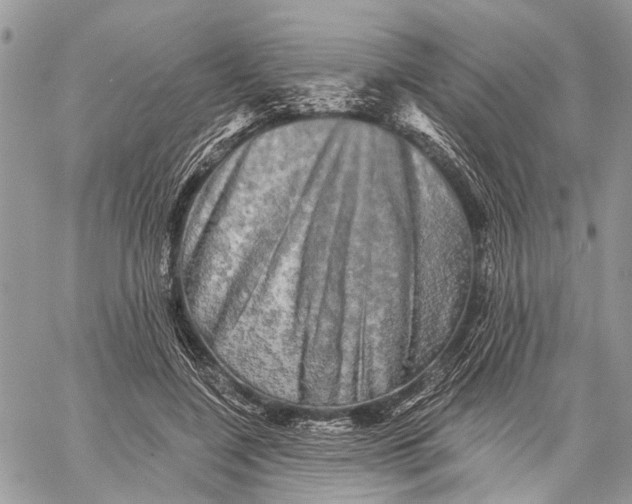 X0000060220548200511181215