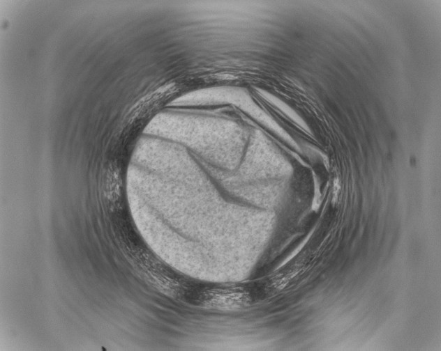 X0000060220555200511181215