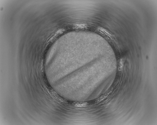 X0000060220560200511181215