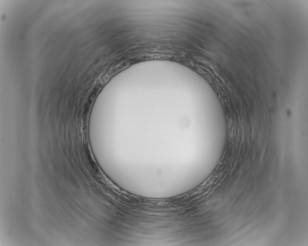 X0000060220564200511181215