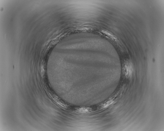 X0000060220566200511181215