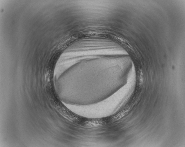 X0000060220567200511181215
