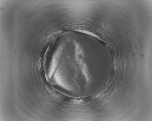 X0000060220570200511181215