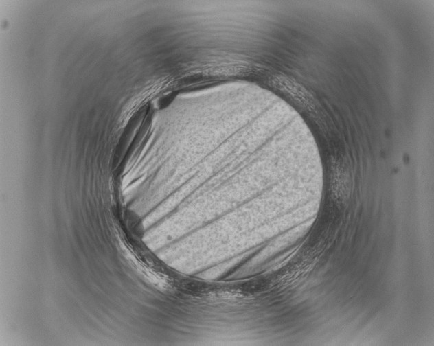 X0000060220586200511181215