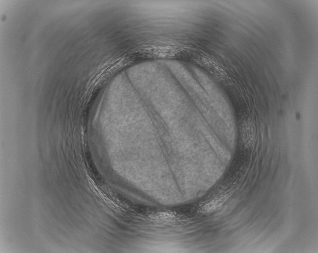 X0000060220594200511181214