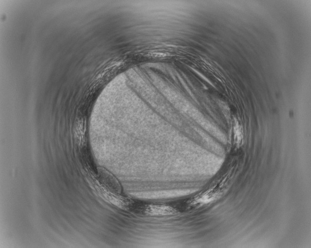 X0000060220605200511181214