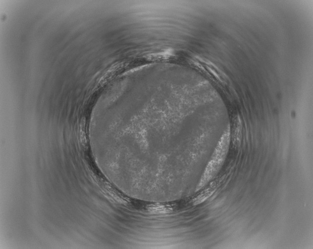 X0000060220616200511181214
