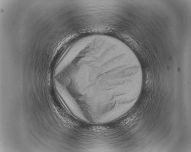 X0000060220636200511181213