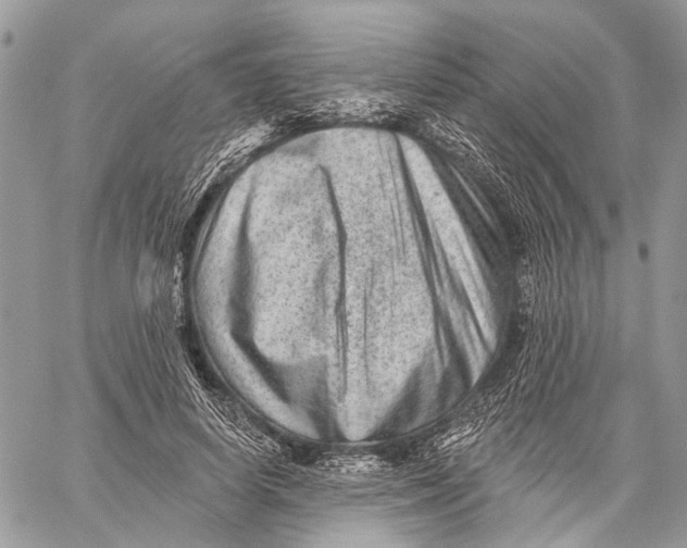 X0000060220642200511181213