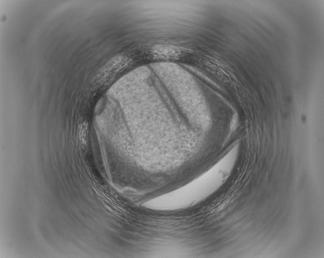 X0000060220649200511181214