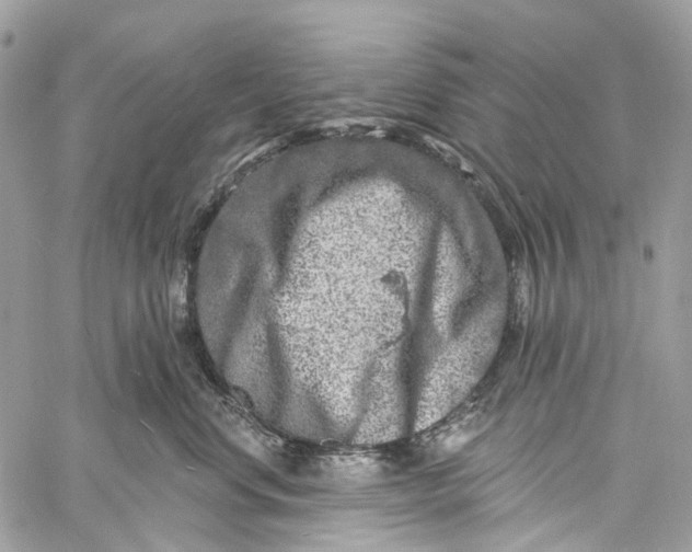 X0000060220668200511181214