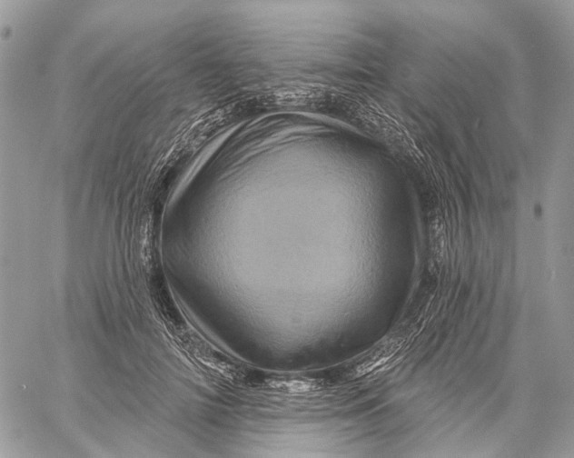 X0000060220698200511181213
