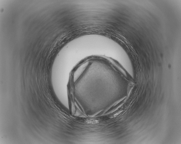 X0000060220701200511181213